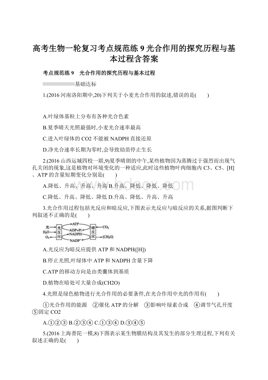 高考生物一轮复习考点规范练9光合作用的探究历程与基本过程含答案Word文件下载.docx_第1页