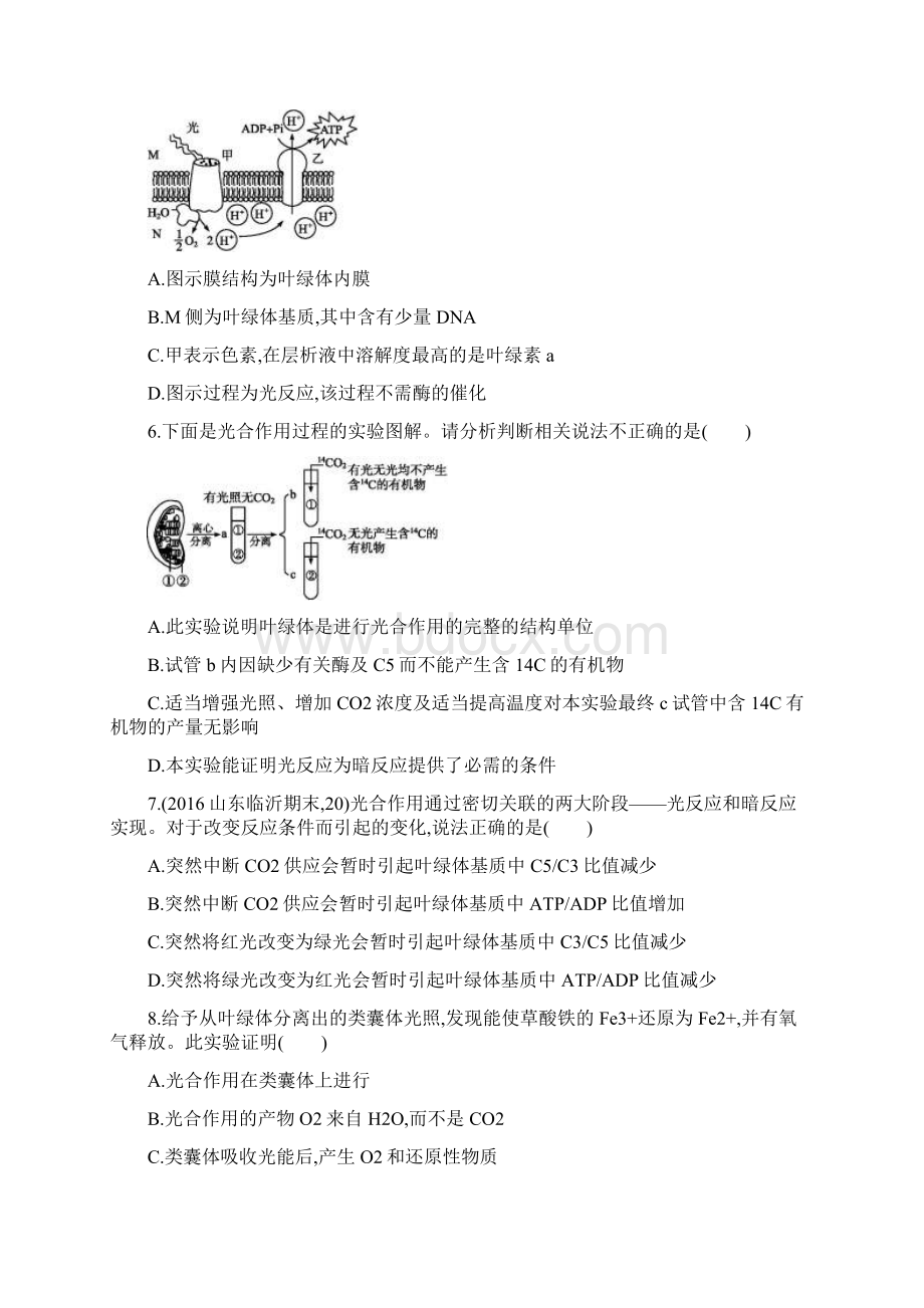 高考生物一轮复习考点规范练9光合作用的探究历程与基本过程含答案Word文件下载.docx_第2页