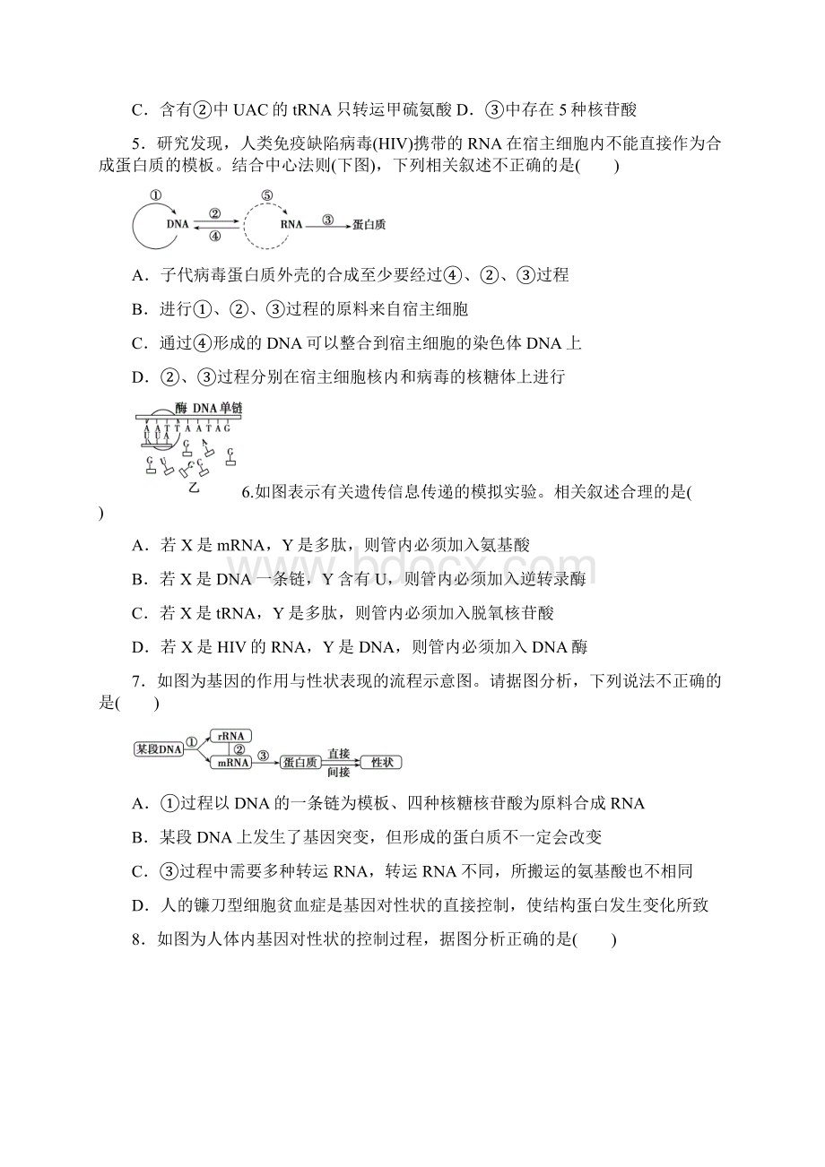 基因的表达测试题汇编Word下载.docx_第2页