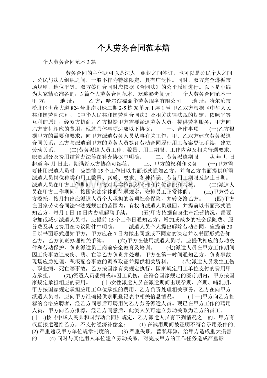 个人劳务合同范本篇Word格式文档下载.docx