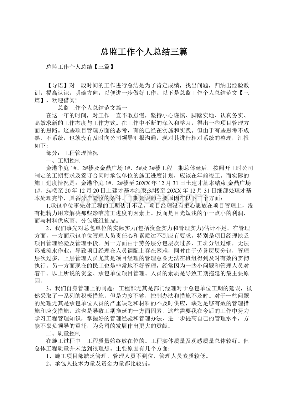 总监工作个人总结三篇.docx