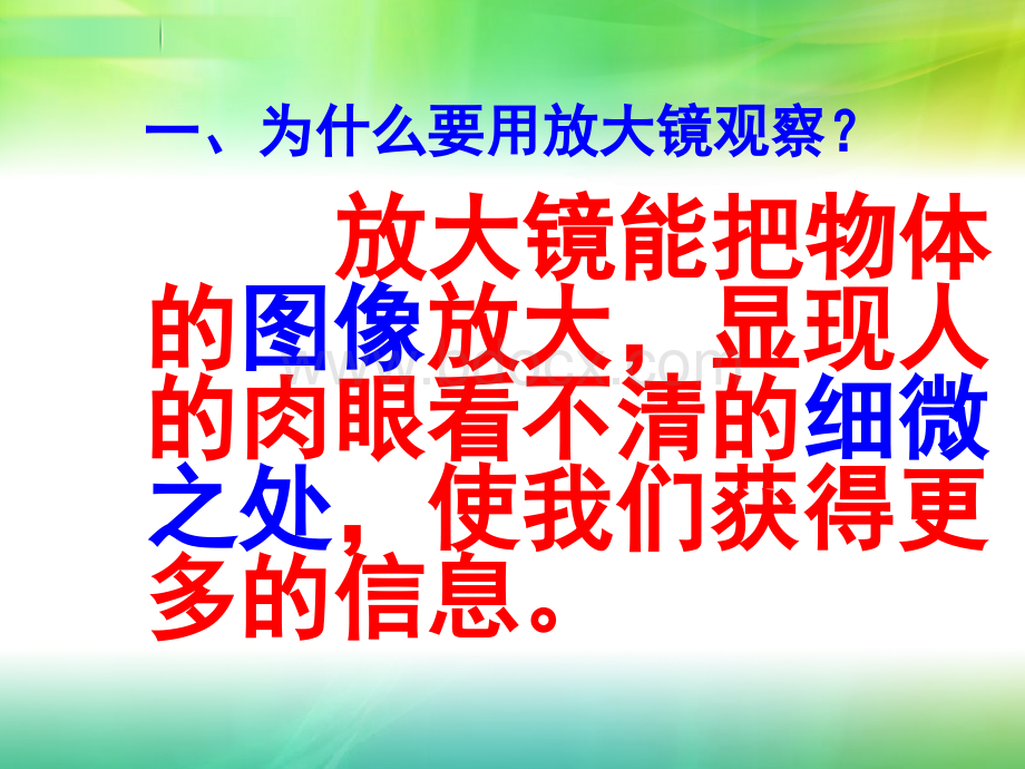 六年级科学《放大镜》PPT.ppt_第2页