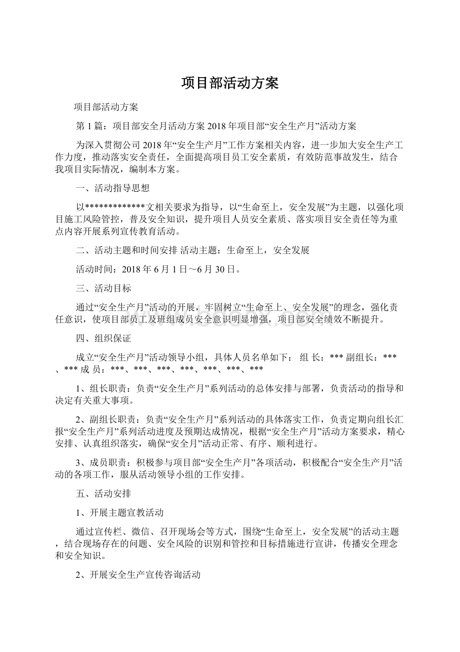 项目部活动方案.docx