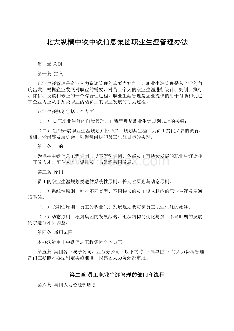 北大纵横中铁中铁信息集团职业生涯管理办法Word格式文档下载.docx_第1页