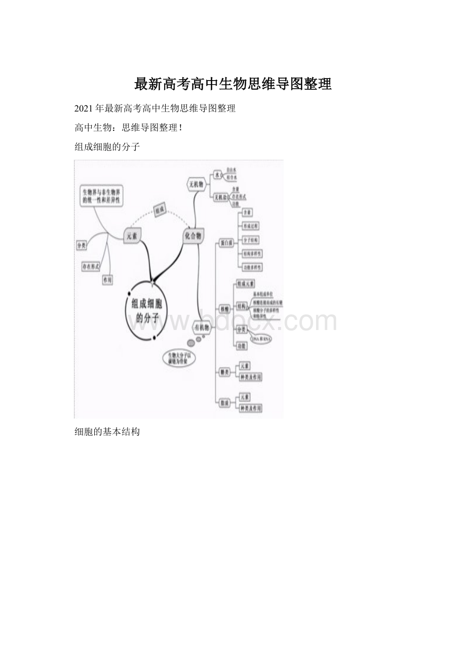 最新高考高中生物思维导图整理.docx_第1页