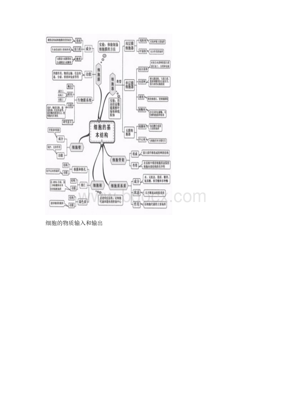 最新高考高中生物思维导图整理.docx_第2页