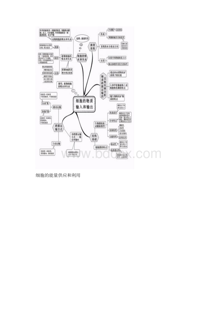 最新高考高中生物思维导图整理.docx_第3页