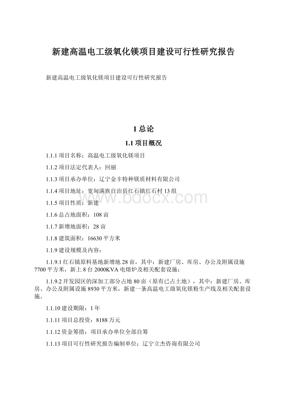 新建高温电工级氧化镁项目建设可行性研究报告Word文档下载推荐.docx