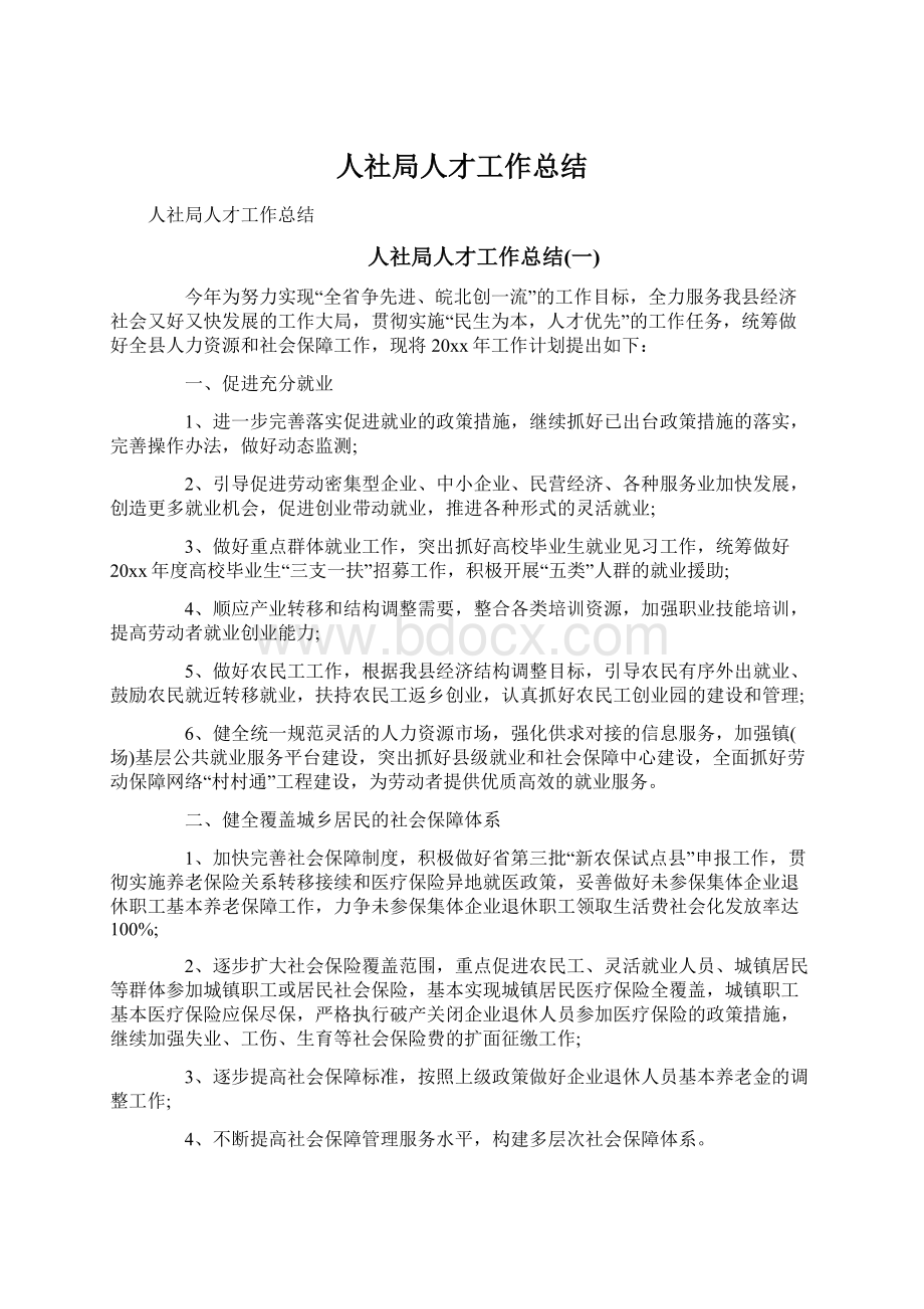 人社局人才工作总结文档格式.docx