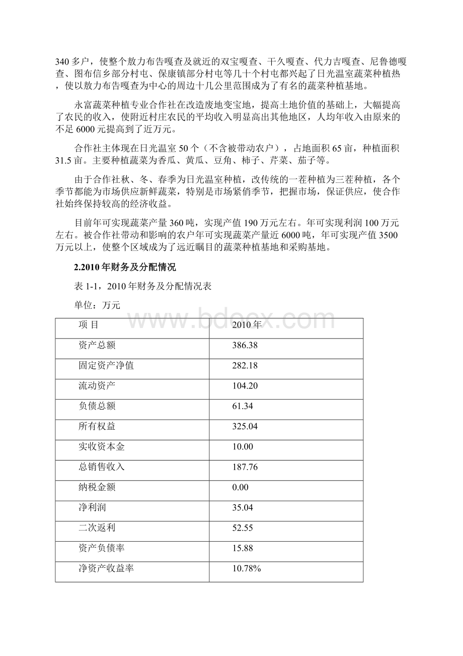 永富蔬菜种植专业合作社项目可行性报告.docx_第2页