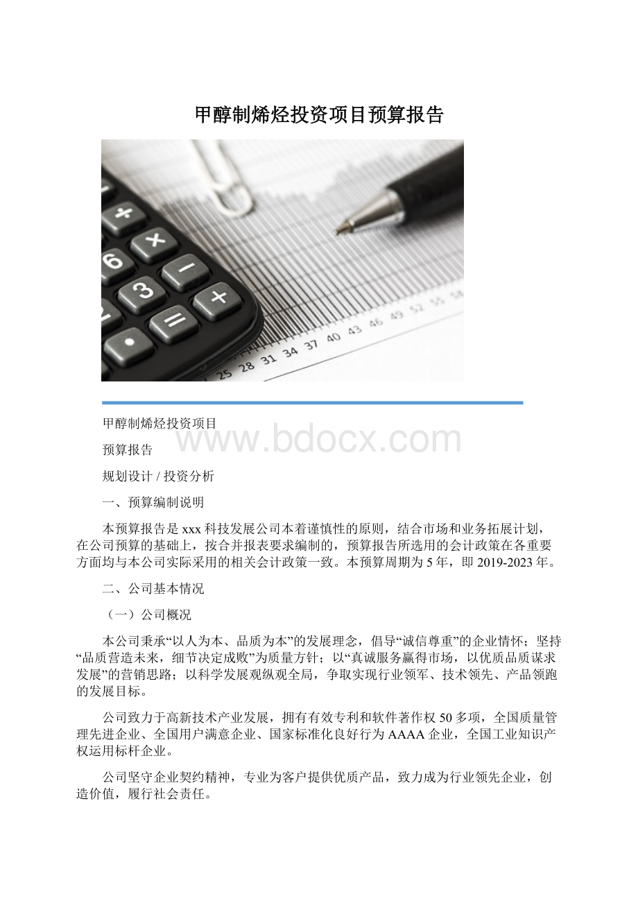 甲醇制烯烃投资项目预算报告Word格式.docx_第1页