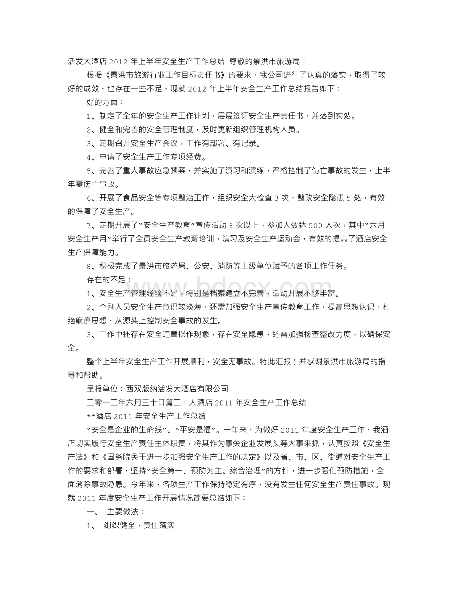 酒店年安全生产工作总结Word文档格式.doc_第1页