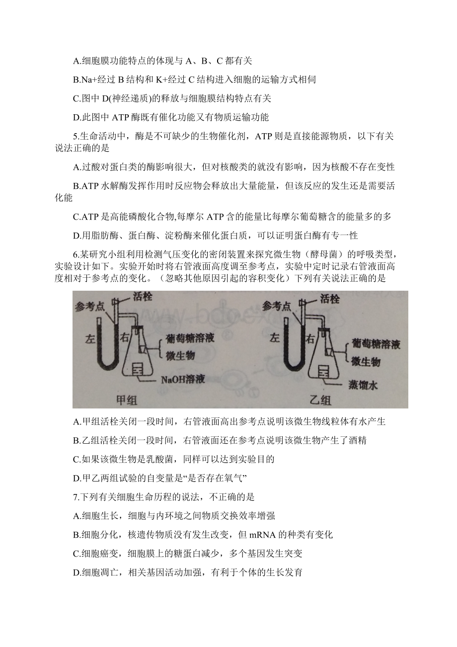 安徽省蚌埠市届高三上学期第一次教学质量检查考试.docx_第2页