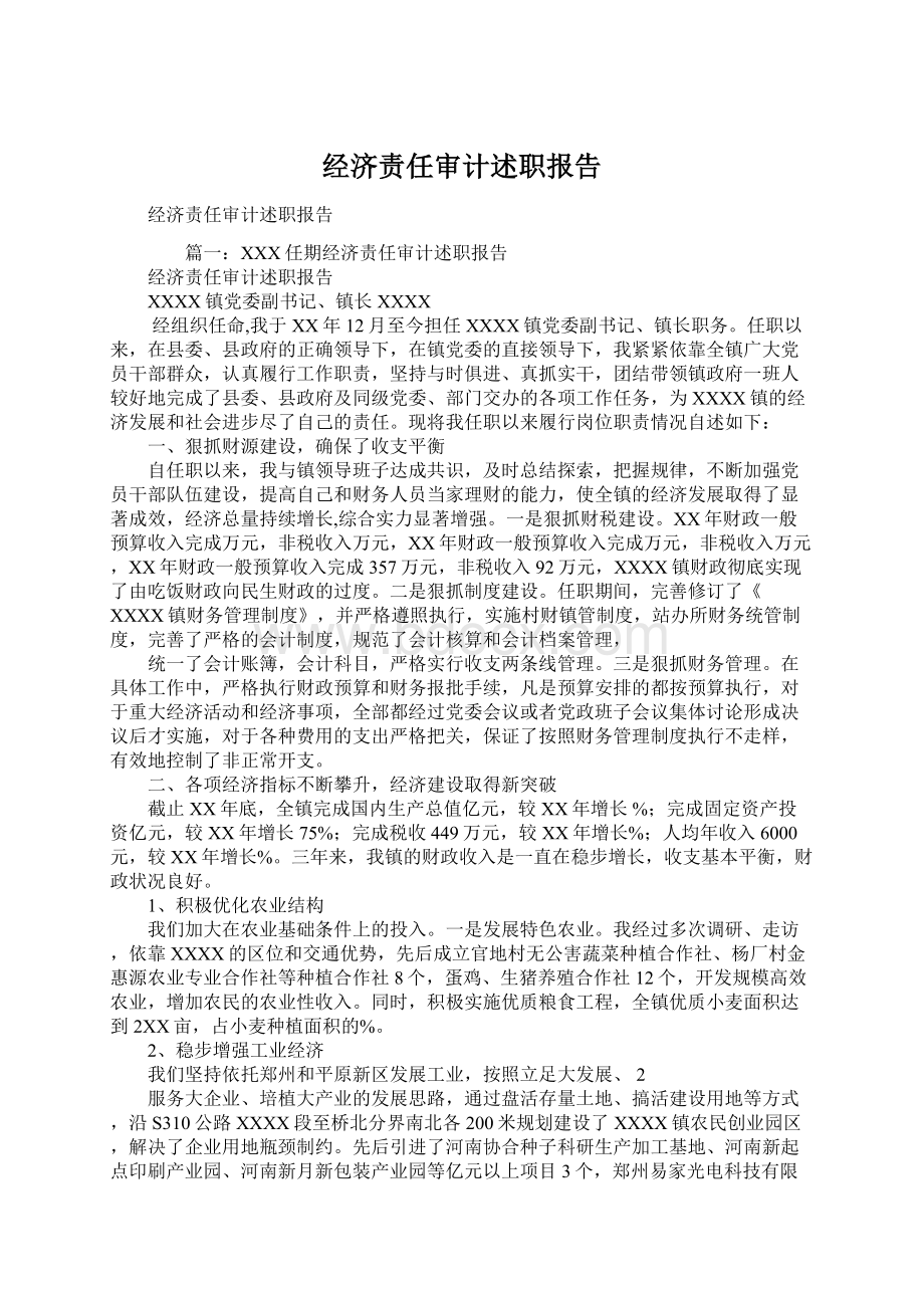 经济责任审计述职报告Word文档下载推荐.docx_第1页