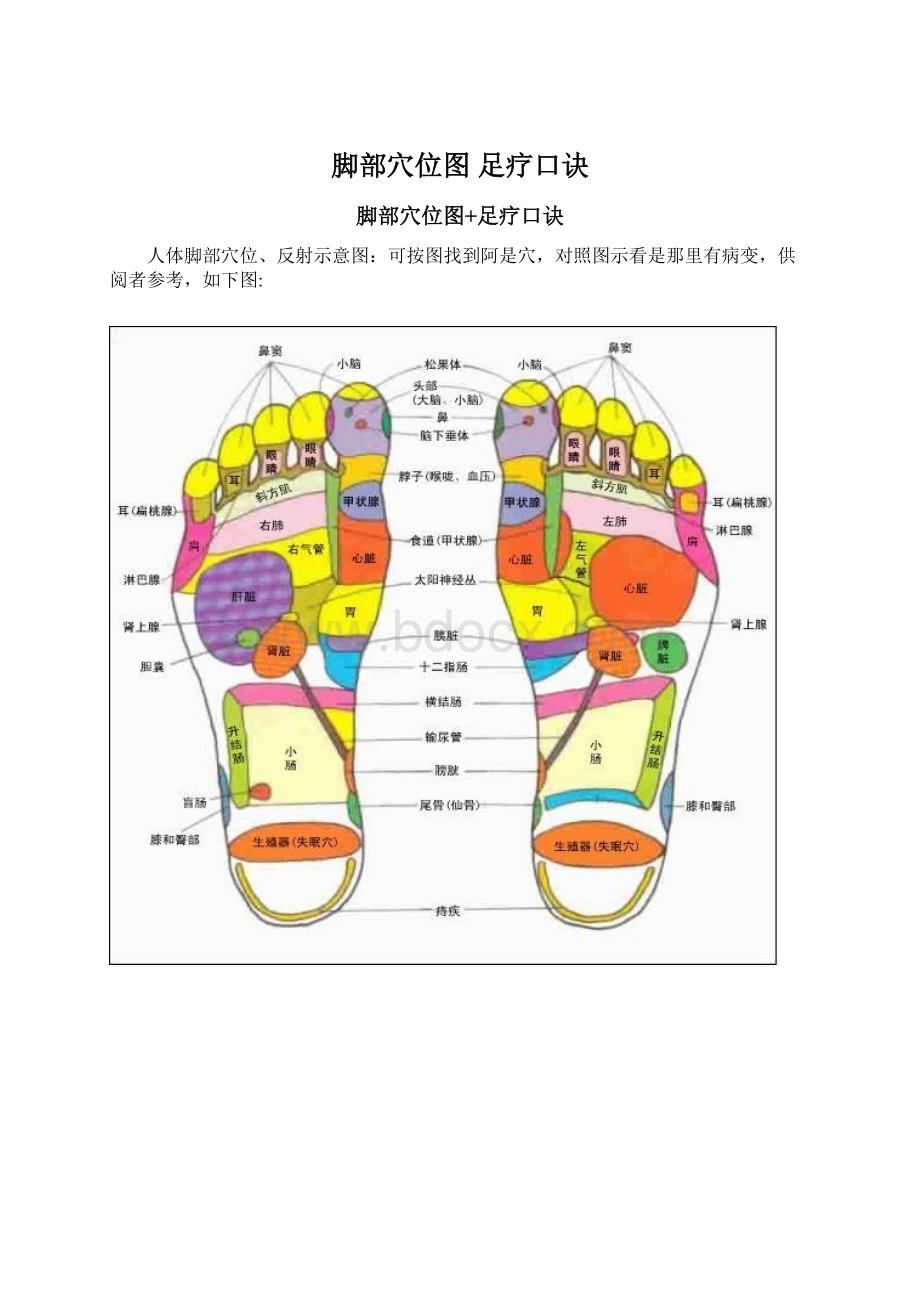 脚部穴位图 足疗口诀Word文档格式.docx