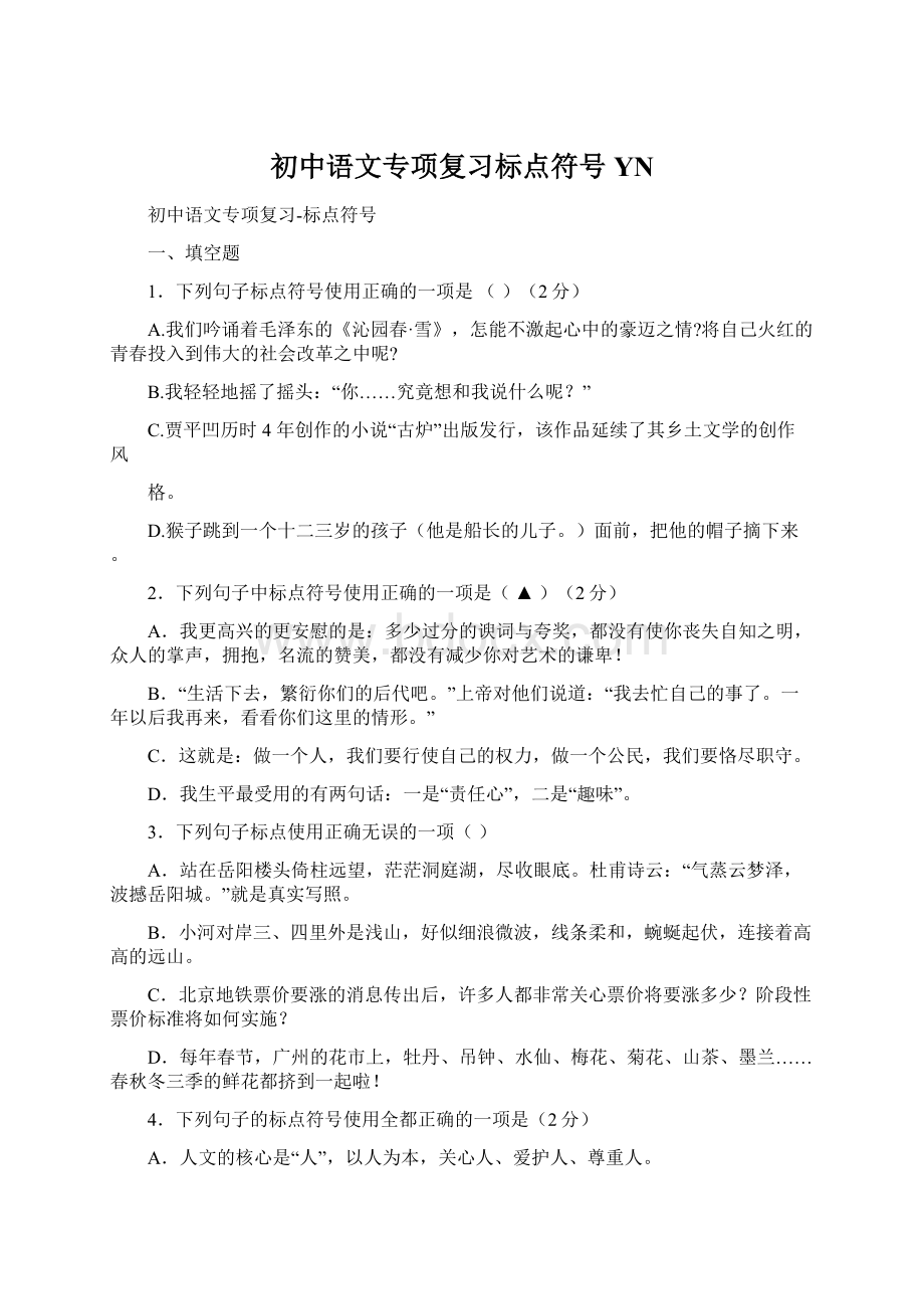 初中语文专项复习标点符号YN文档格式.docx