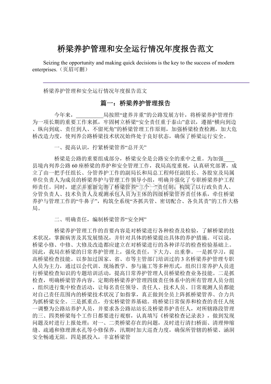 桥梁养护管理和安全运行情况年度报告范文.docx_第1页