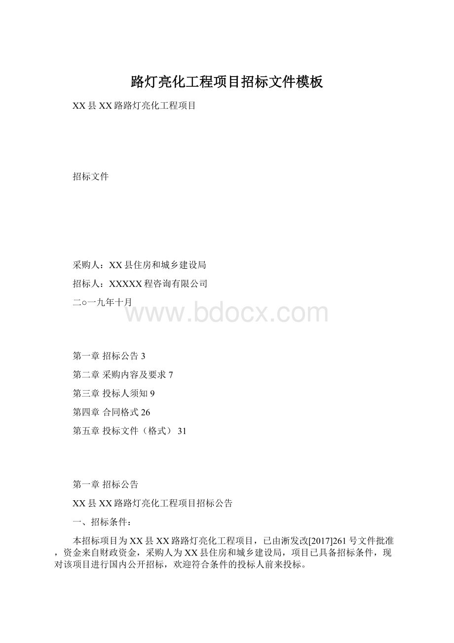 路灯亮化工程项目招标文件模板Word文件下载.docx