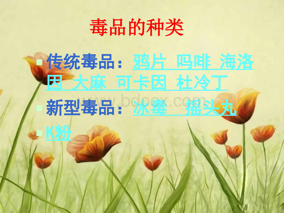 安全与禁毒教育ppt.ppt_第2页