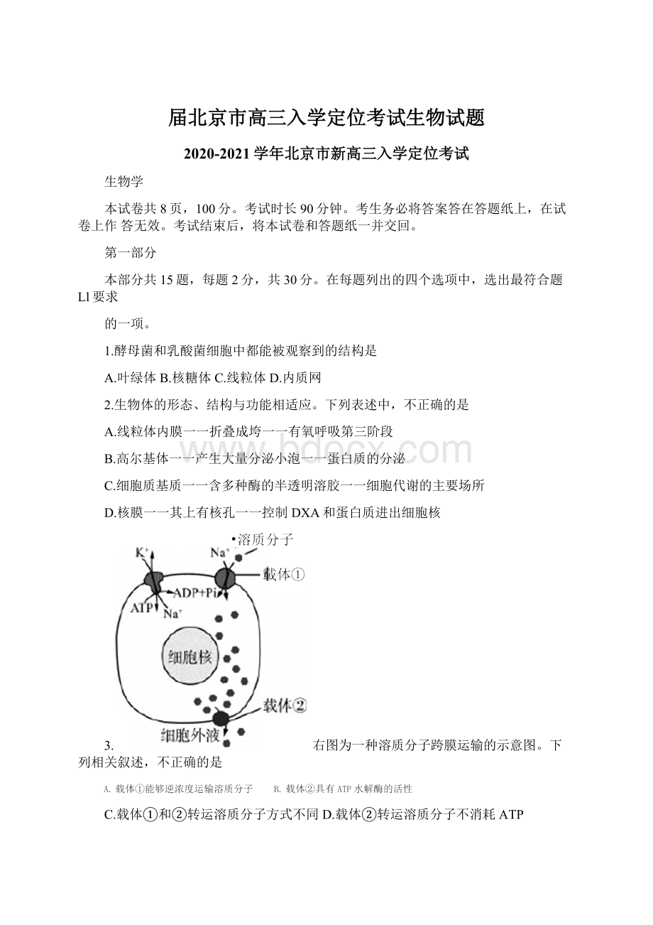 届北京市高三入学定位考试生物试题Word文档格式.docx