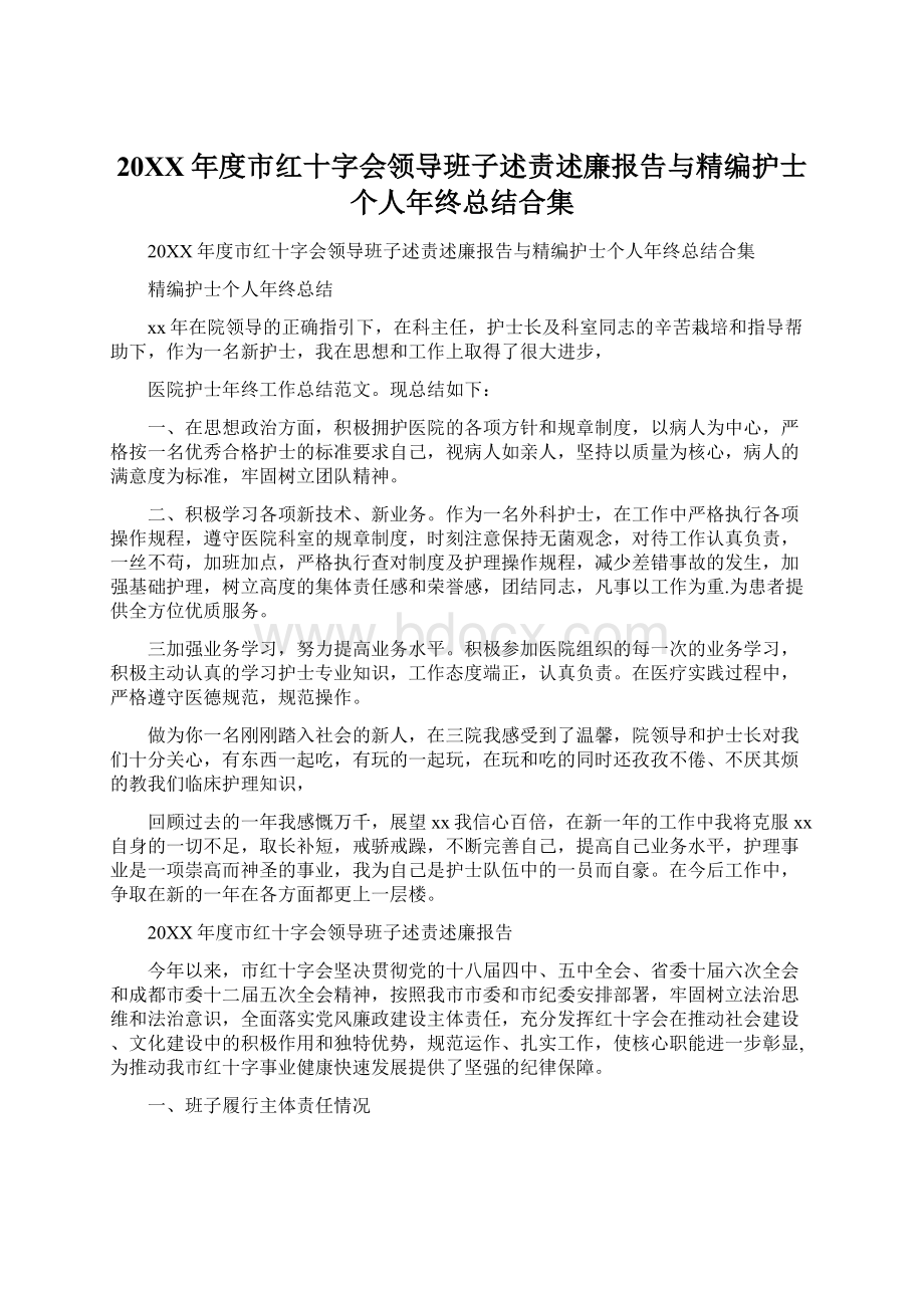 20XX年度市红十字会领导班子述责述廉报告与精编护士个人年终总结合集文档格式.docx_第1页