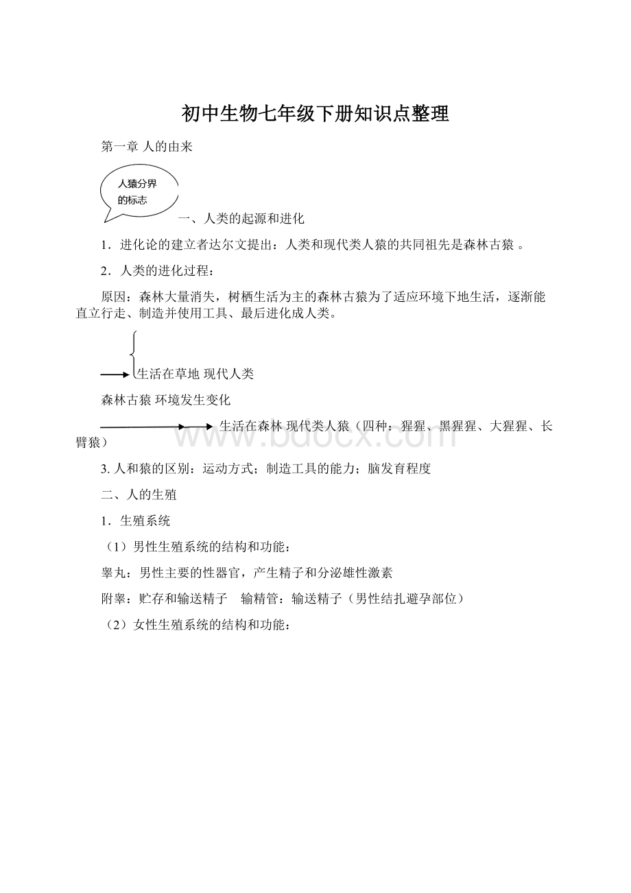 初中生物七年级下册知识点整理Word下载.docx