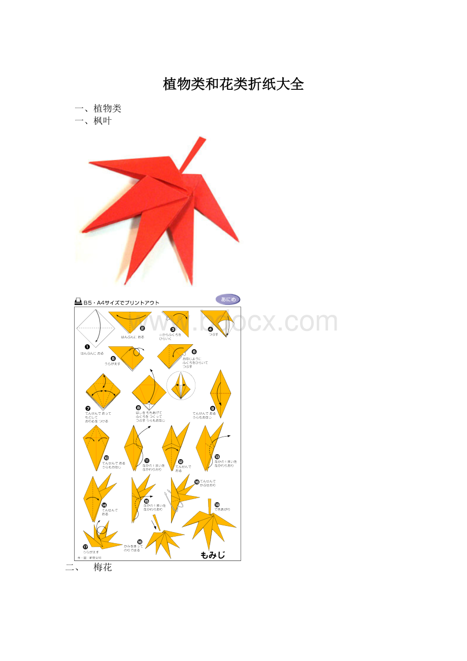 植物类和花类折纸大全Word文档格式.docx