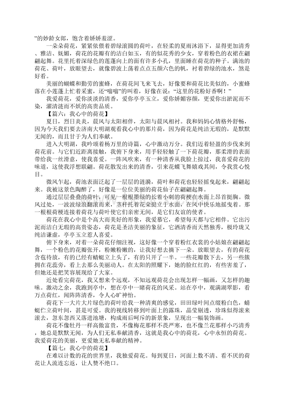 我心中的荷花作文文档格式.docx_第3页