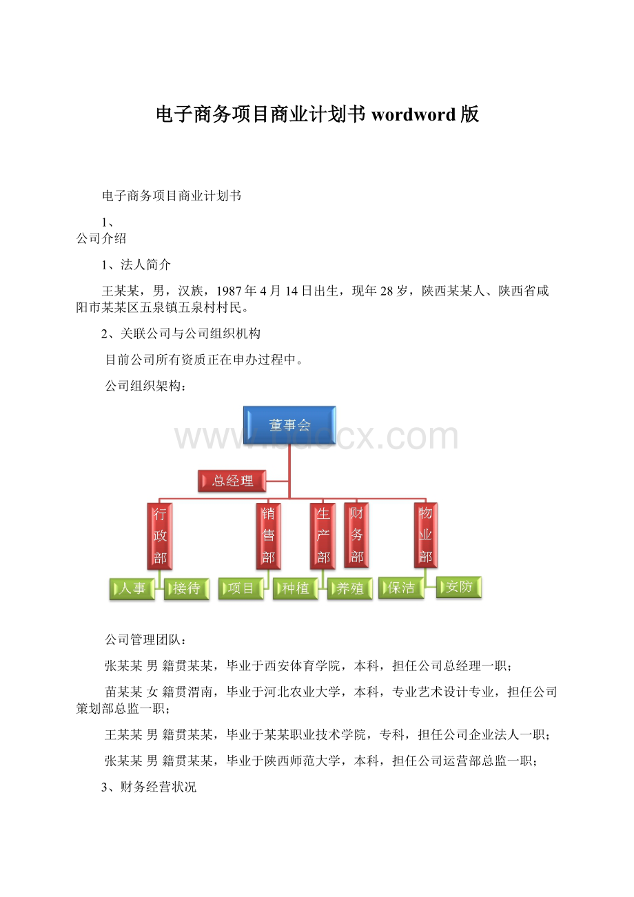 电子商务项目商业计划书wordword版.docx_第1页