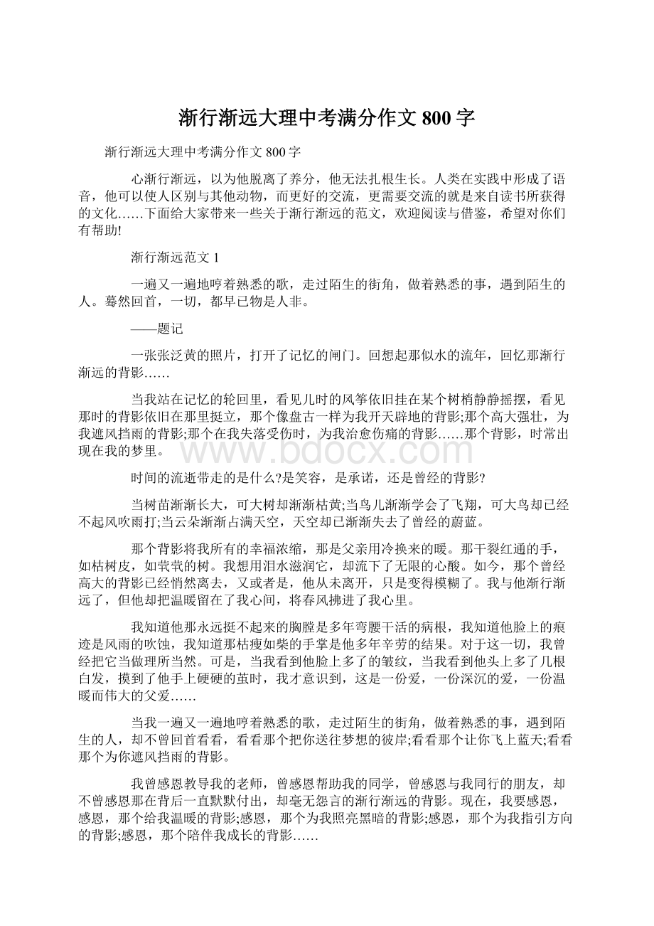 渐行渐远大理中考满分作文800字.docx