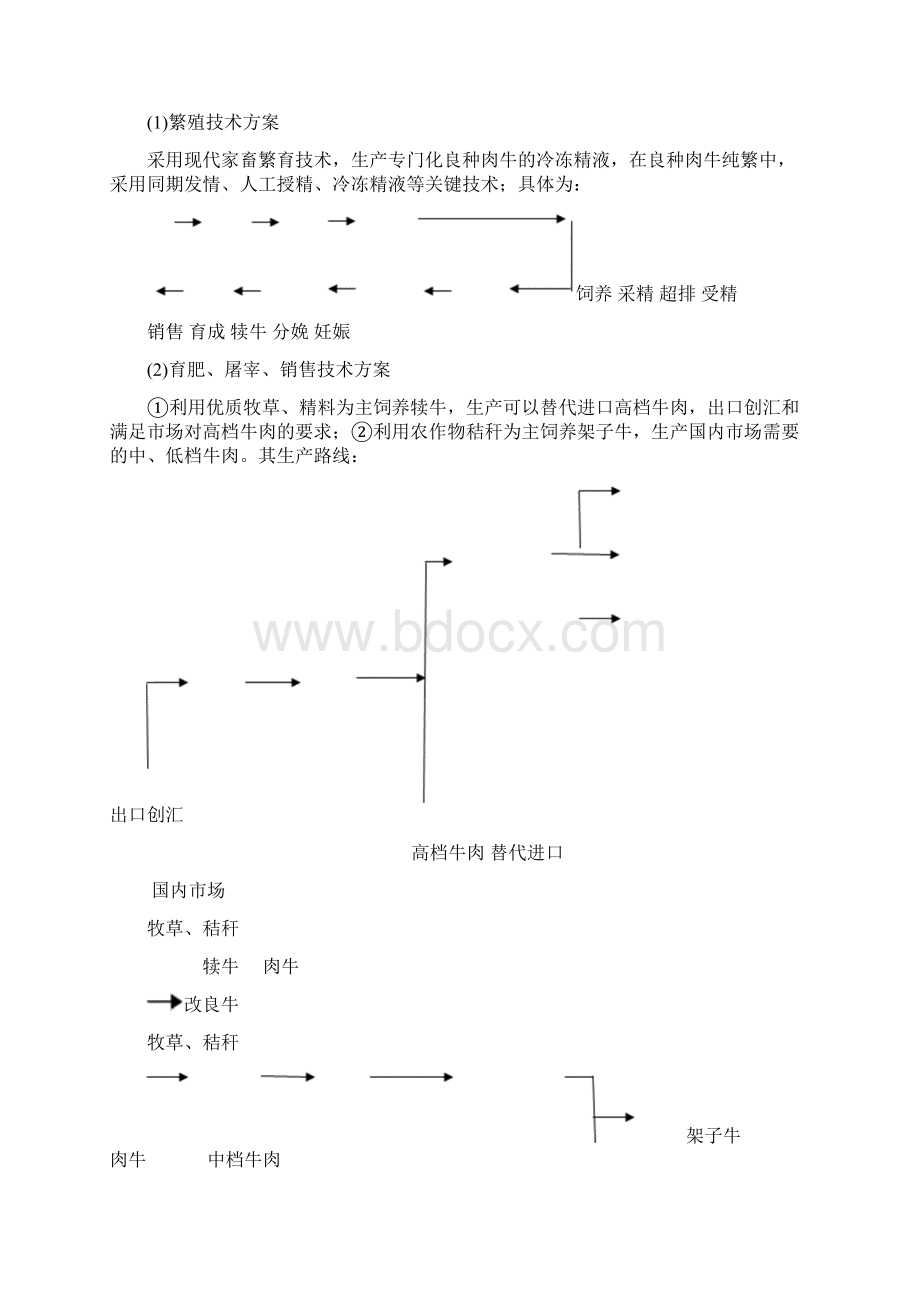 生态肉牛养殖可行性研究报告完整版资料Word文件下载.docx_第3页