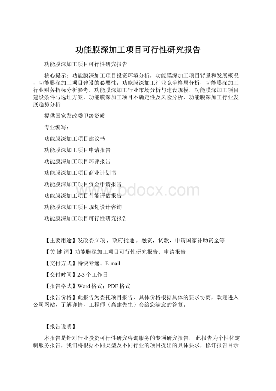 功能膜深加工项目可行性研究报告.docx