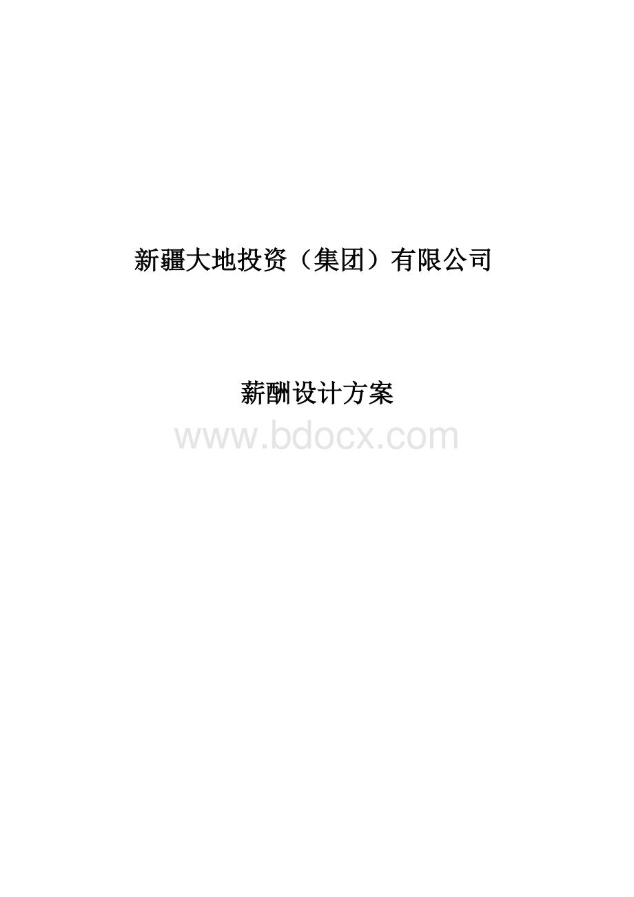 新疆大地投资(集团)有限公司薪酬设计方案Word文件下载.doc