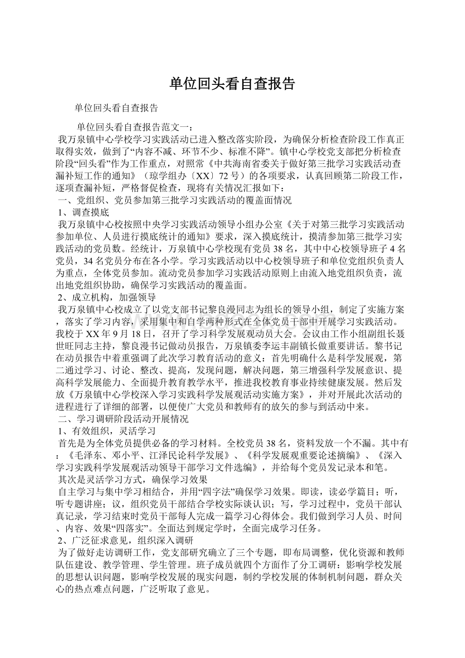 单位回头看自查报告文档格式.docx_第1页