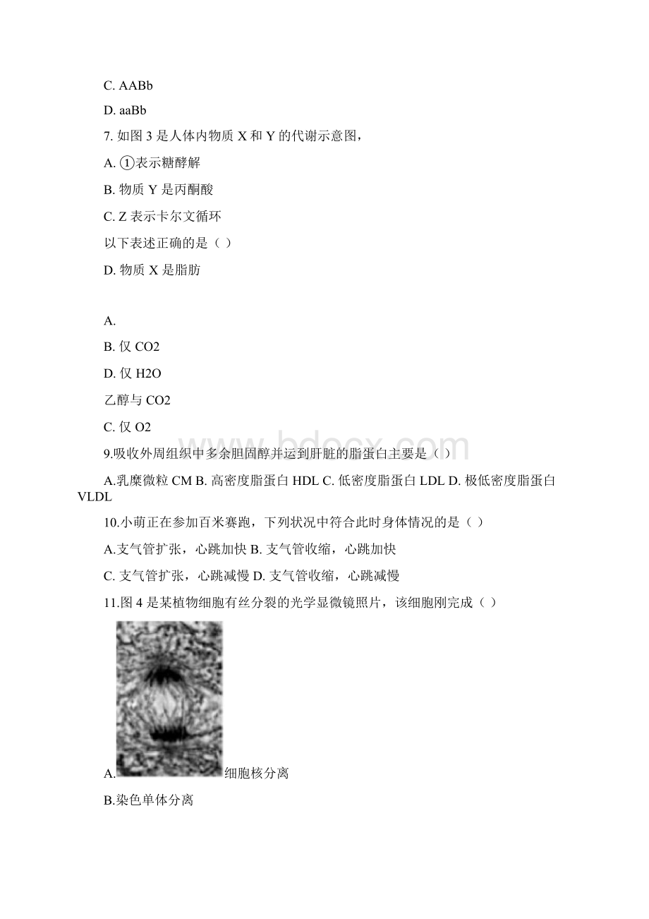 完整上海高中学业水平考试生命科学生物等级考真题卷.docx_第3页