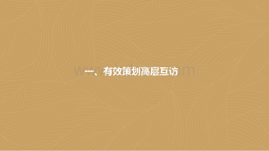 拓展纲要有效策划高层互访签订框架公司资源整合黄新忠.pptx_第2页