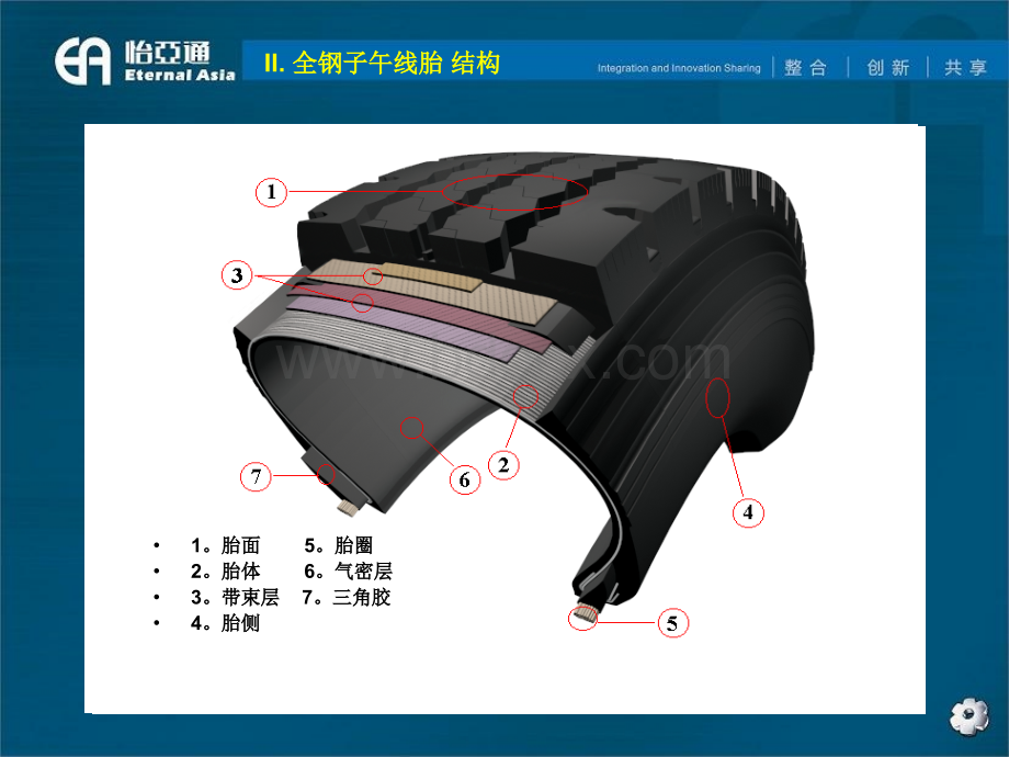 TBR轮胎培训资料.ppt_第3页