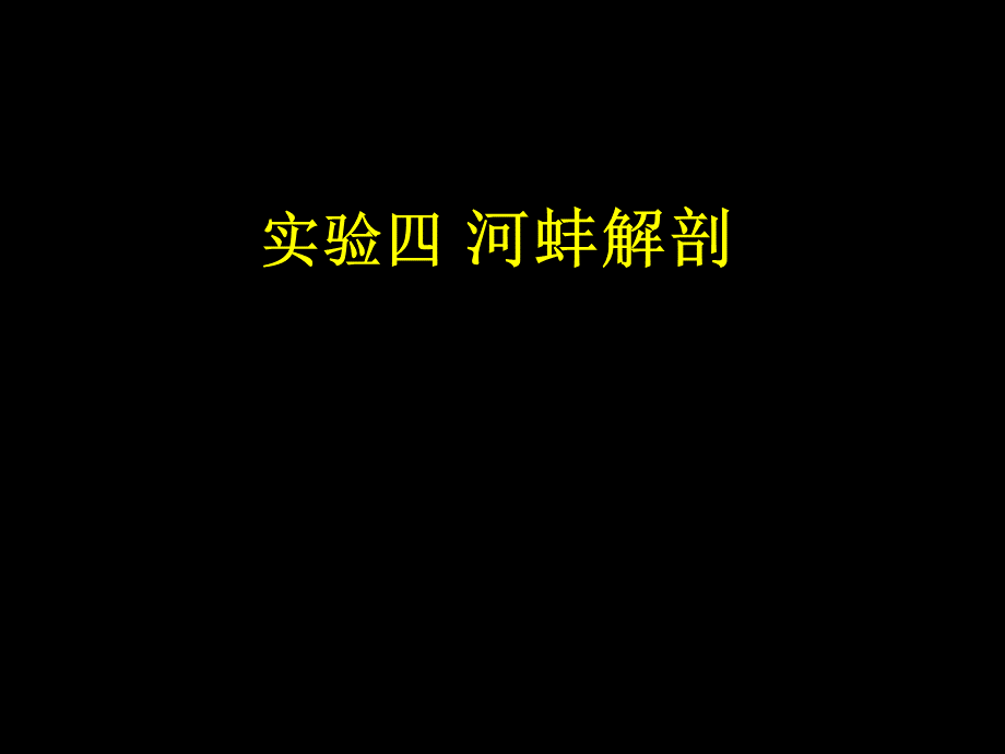 动物学实验四-河蚌解剖_精品文档.ppt_第1页