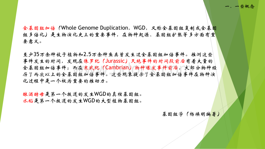 DTv全基因组复制.pptx_第3页