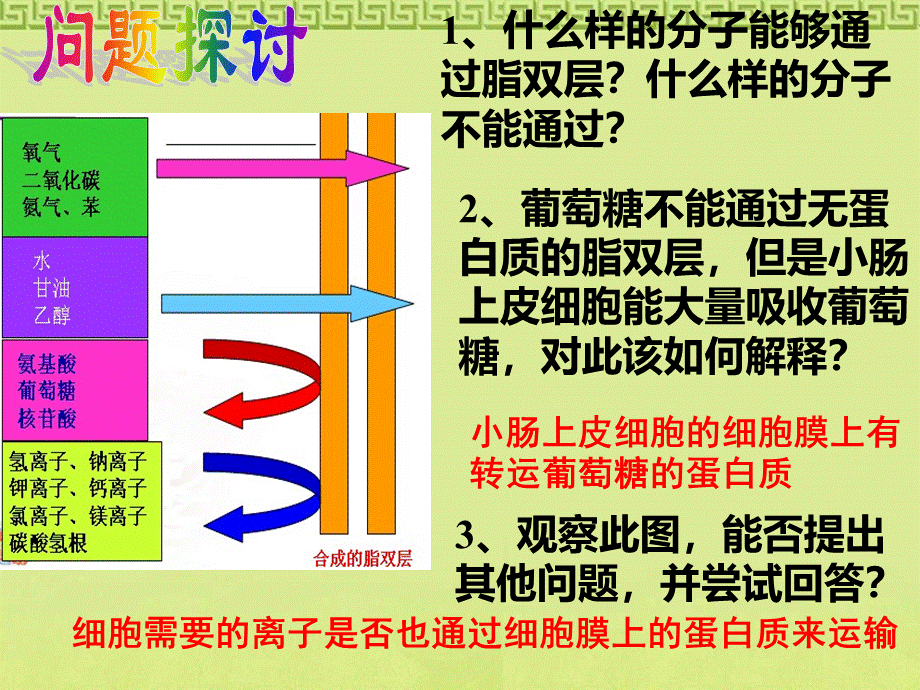 物质跨膜运输的方式_精品文档PPT资料.ppt_第3页