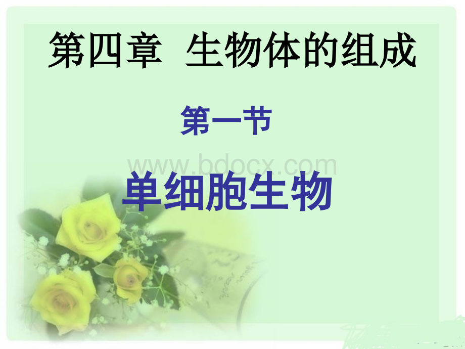 单细胞生物PPT推荐.ppt