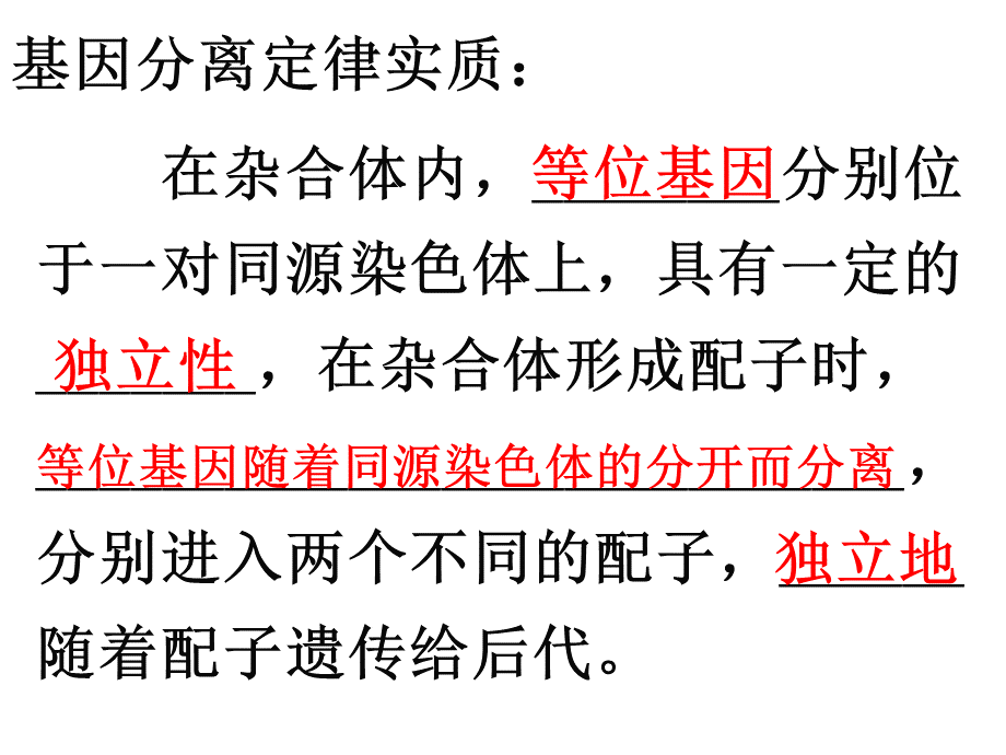 基因的自由组合定律高三复习课件_精品文档PPT推荐.ppt_第2页