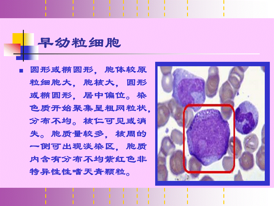 诊断学细胞图谱_精品文档PPT格式课件下载.ppt_第3页