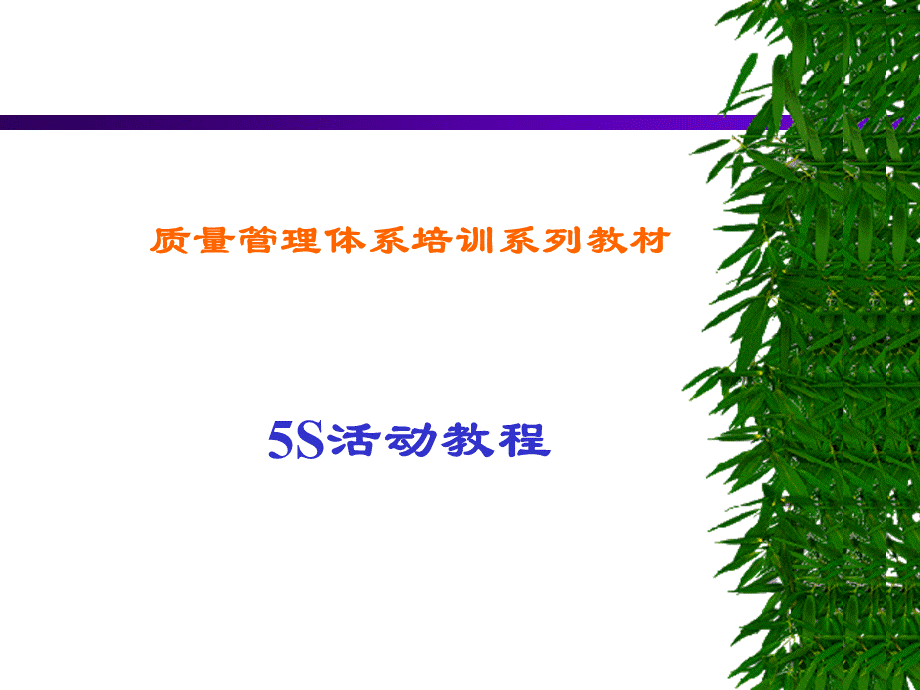 5S培训资料PPTPPT文件格式下载.ppt_第1页