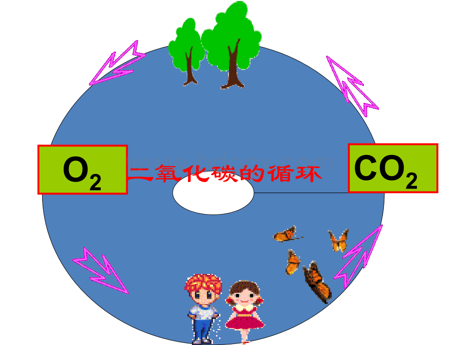 二氧化碳的循环_精品文档PPT资料.ppt_第3页