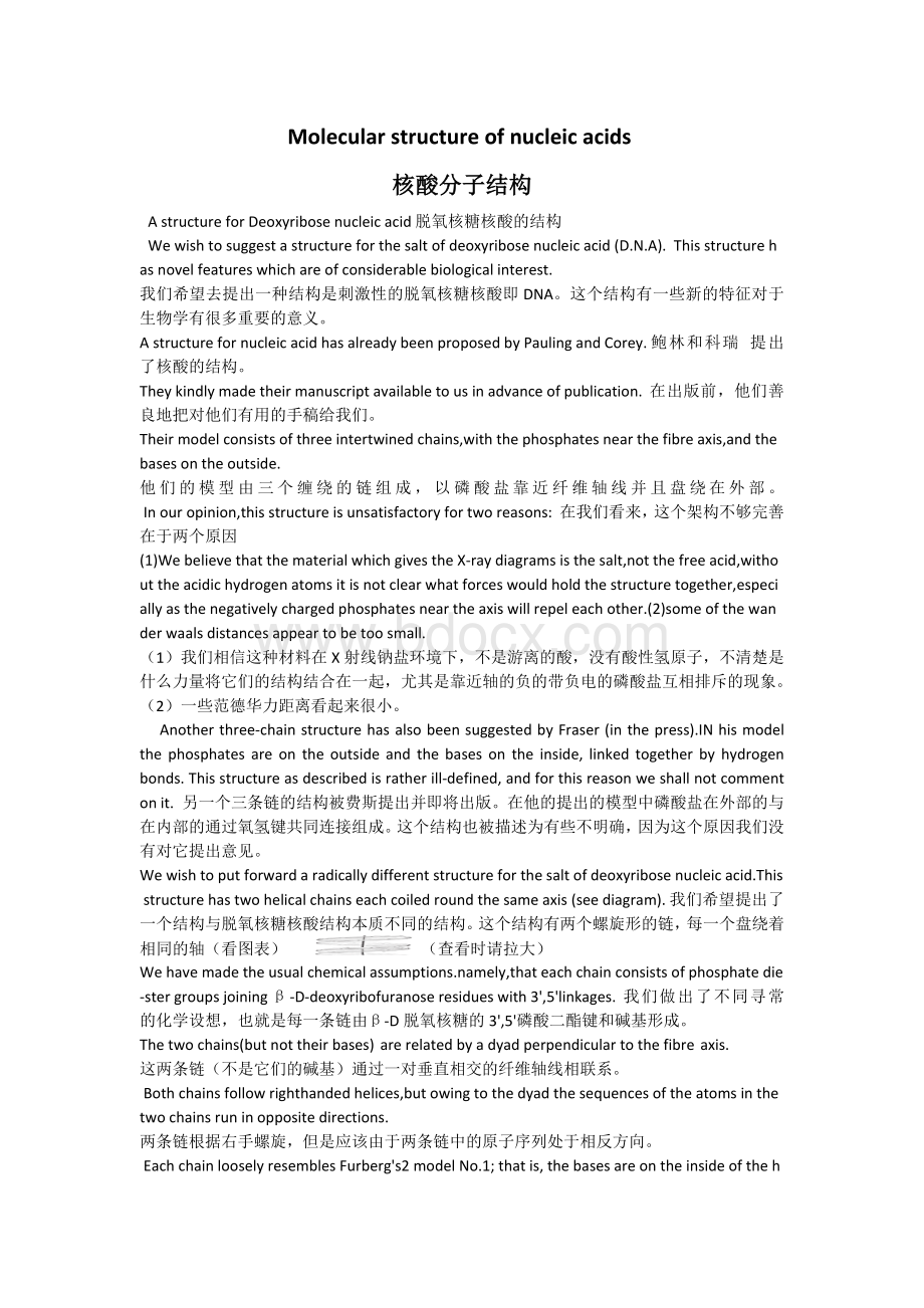 DNA模型_精品文档.docx_第1页