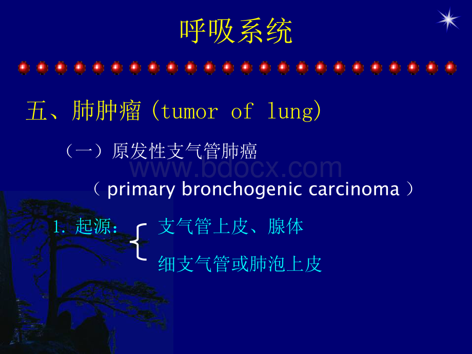 呼吸系统5_精品文档.pps_第2页