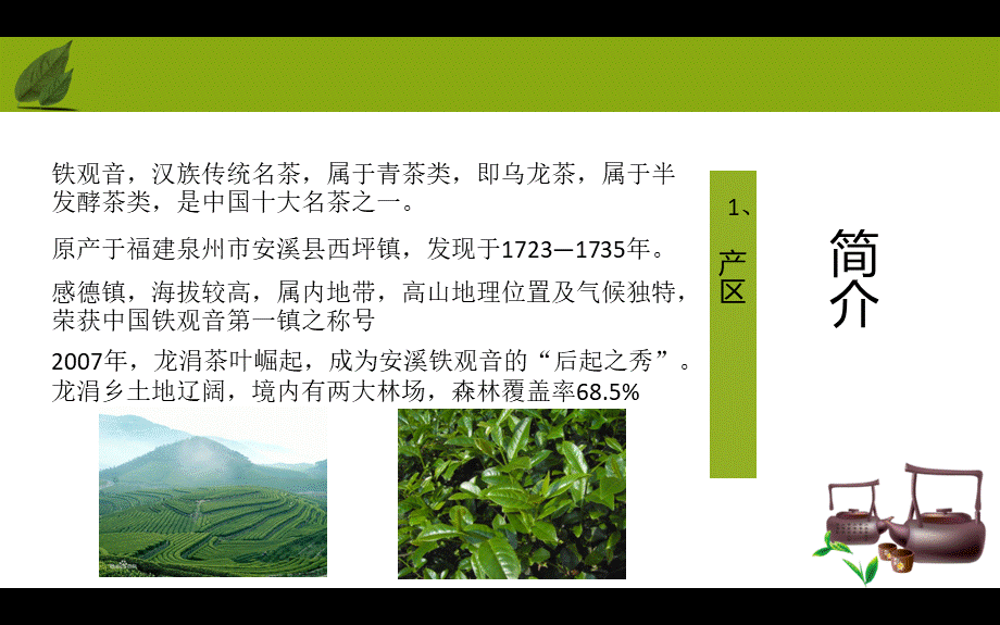 安溪铁观音_精品文档.ppt_第3页