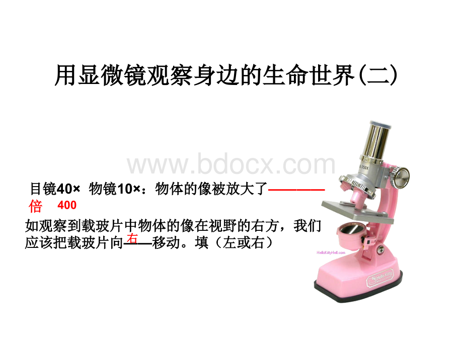 用显微镜观察身边的生命世界二PPT推荐.ppt_第1页