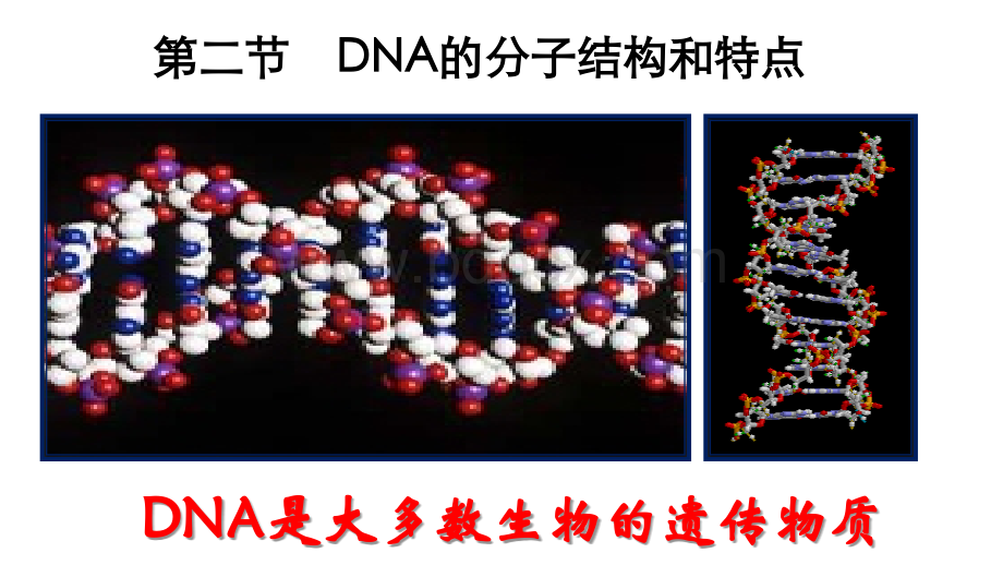 DNA的分子结构和特点_精品文档.pptx_第3页